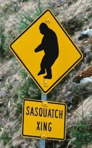 sasquatch crossing DustDevil75 i239 photobucket com