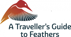 A Traveller's Guide to Feathers